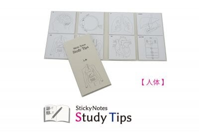 【人体】Sticky Notes Study Tips （スタチプ） | 文具