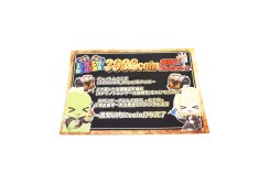 DSC09867-1