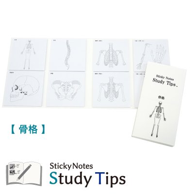 【骨格】付箋　Sticky Notes Study Tips （スタチプ） | 文具